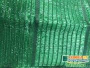 tai sao nen mua luoi che nang thai lan ha noi 2