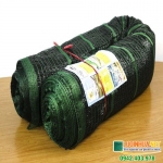 tim hieu ve luoi lan thai lan 1