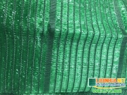 cac co so ban luoi thai tai dong nai gom nhung dia chi nao 1