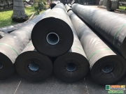 gia bat lot ao nuoi tom hien nay bao nhieu tien 1