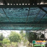 o dau ban luoi che nang tai tp ho chi minh 1