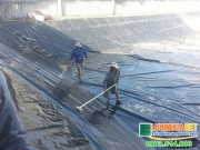 tim hieu ky thuat nuoi tom ao bat chi tiet 1