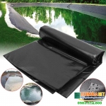 le ha vina ban bat chong tham nhap khau ben re tien dung 2