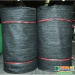 Lưới Che Nắng – Giải Pháp Điều Hoà Ánh Sáng Cho Nông Nghiệp Và Đời Sống