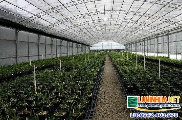 Lưới che nắng dệt kim của Đài Loan được dùng để làm gì