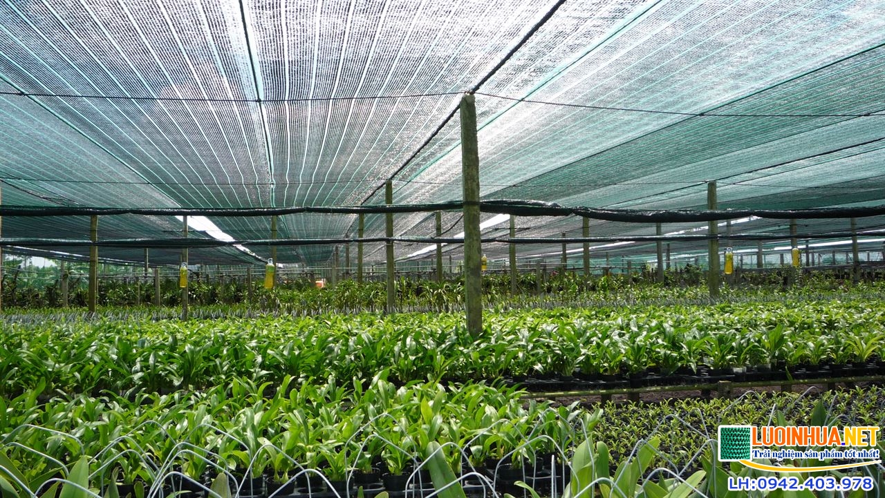 Tại sao nên mua lưới tại Lê Hà Vina