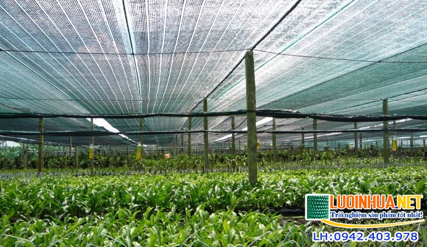 Lưới che giảm nắng bằng nhựa có mấy loại