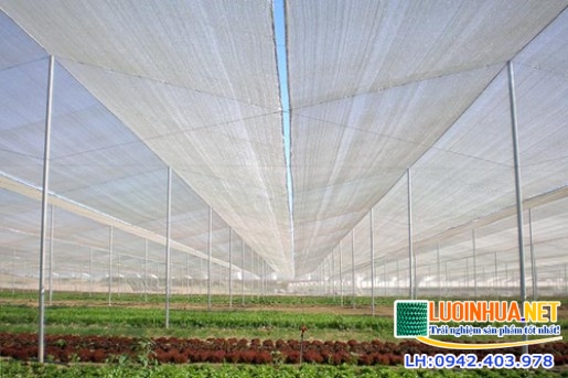 Một số bí quyết chọn lưới che chắn côn trùng