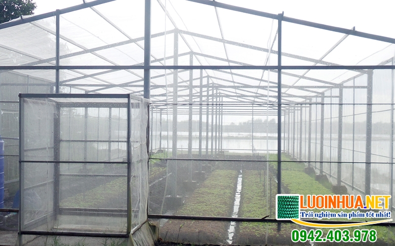 Côn trùng gây ảnh hưởng tới sinh hoạt