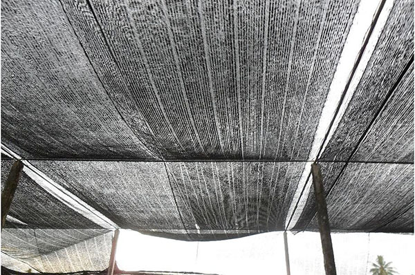 cung cap 800m2 luoi che nang mua cho chi tu o quan 6 tphcm 3