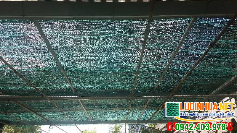 Cung cấp 1000m2 lưới che nắng cho chị Na
