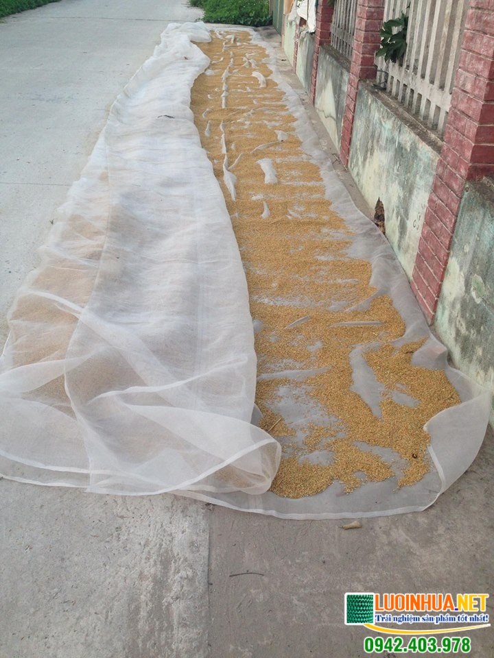 Anh Điền ưng ý với mẫu lưới nhựa do Lê Hà Vina cung cấp