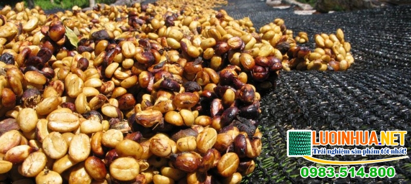 Lưới nhựa phơi nông sản