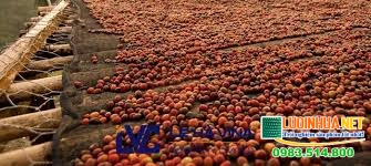 Lê Hà Vina cung cấp lưới phơi nông sản cho gia đình bà Hạnh