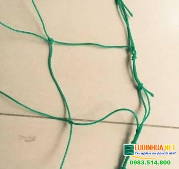 Địa chỉ bán lưới vây sân bóng 380/45x13cm chất lượng tại TP Hồ Chí Minh 
