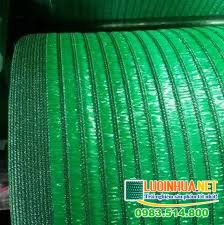 Lê Hà Vina một trong các cơ sở bán lưới Thái tại Đồng Nai