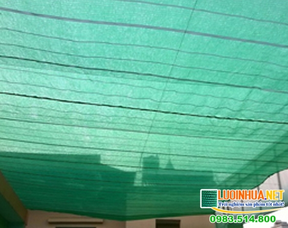 Có nên sử dụng lưới Thái Lan không