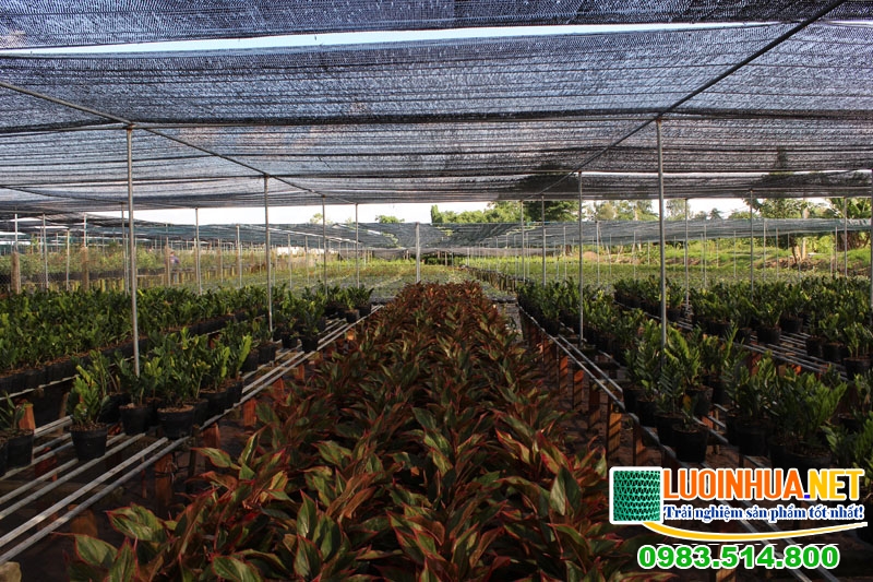 Tìm hiểu chung về lưới che mát sân vườn