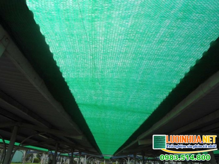 Ứng dụng của lưới che nắng