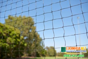 Lê Hà Vina - địa chỉ cung cấp lưới quanh sân thể thao 380/60x13cm uy tín 