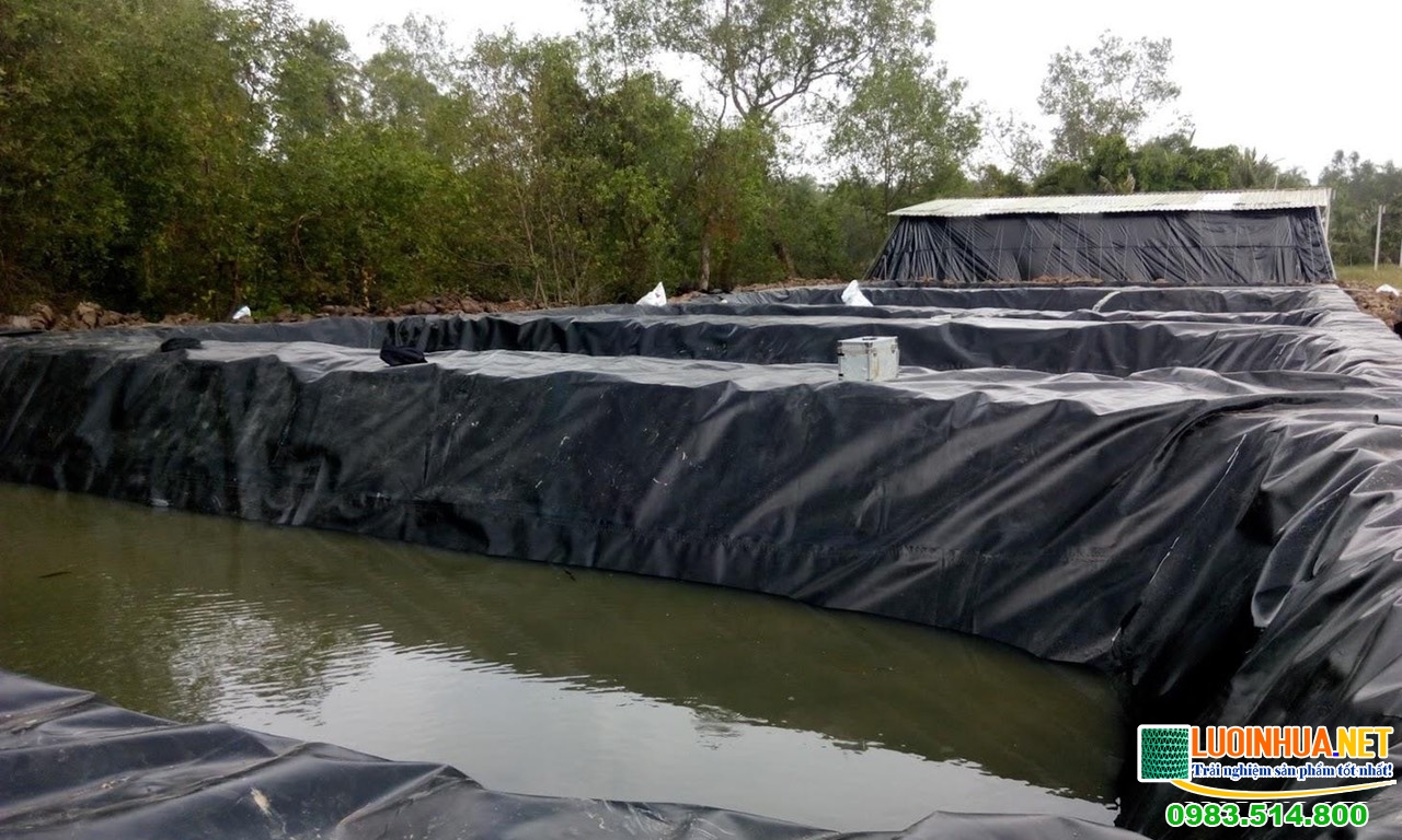 Giá bạt lót ao nuôi tôm phụ thuộc vào những yếu tố nào