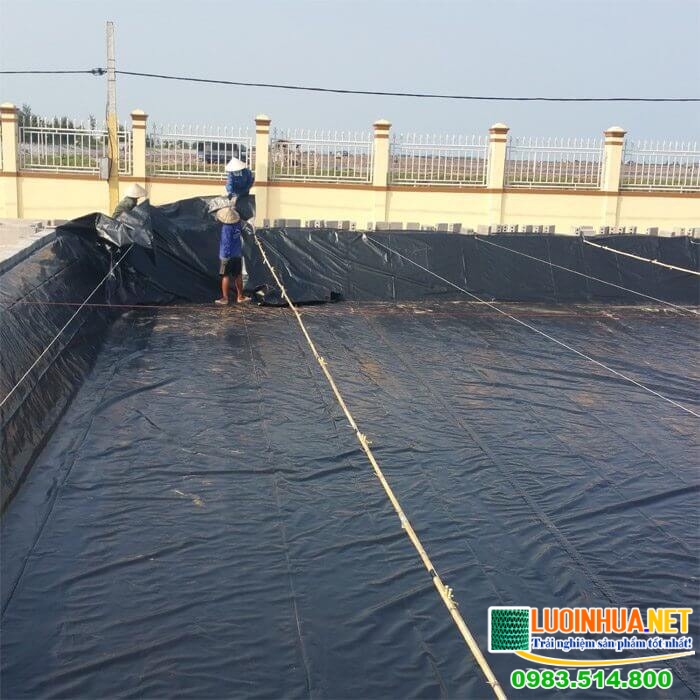 Địa chỉ cung cấp giá bạt lót ao nuôi tôm rẻ uy tín nhất