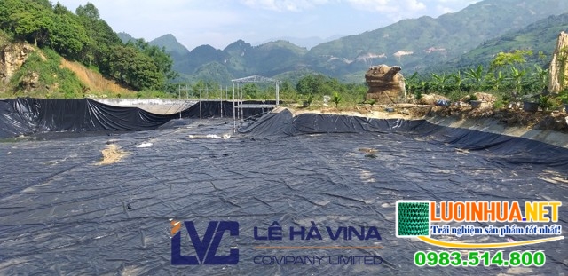 Bạt lót hồ cá koi