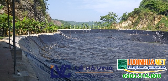 Lý do nên sử dụng bạt lót nền hồ nuôi cá