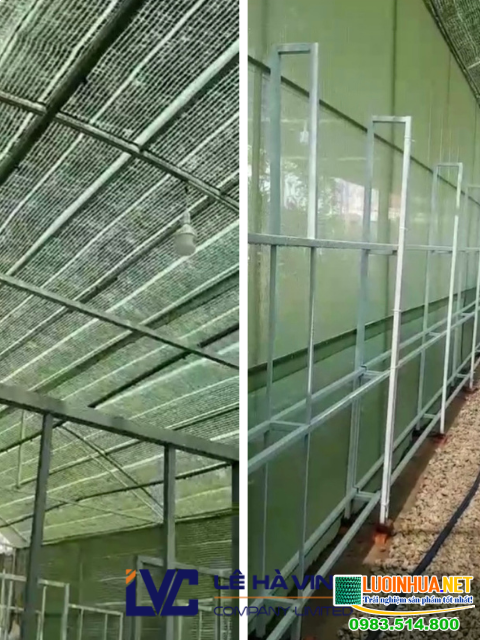 Thi công lắp đặt nhà lưới trồng nấm linh chi bằng lưới che nắng