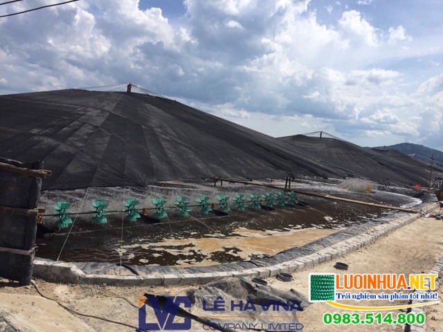 Cung cấp 2.200m2 màng chống thấm 0,3mm cho đầm tôm ở Thanh Hóa