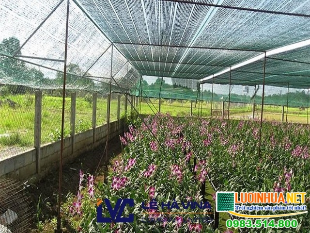 Lưới đen che nắng là gì