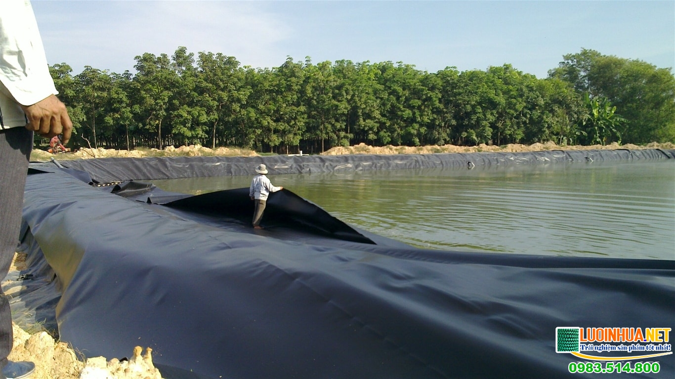 Bạt lót hồ nuôi tôm