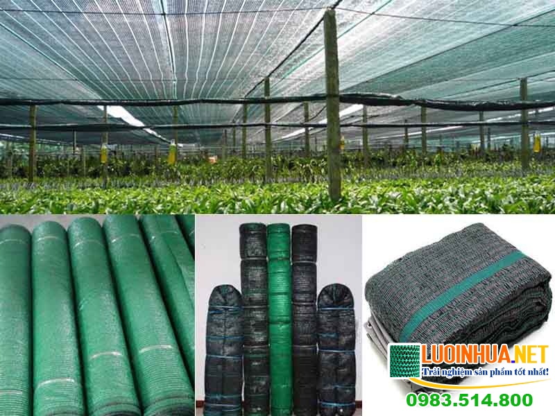 Tìm hiểu các loại lưới chống nắng