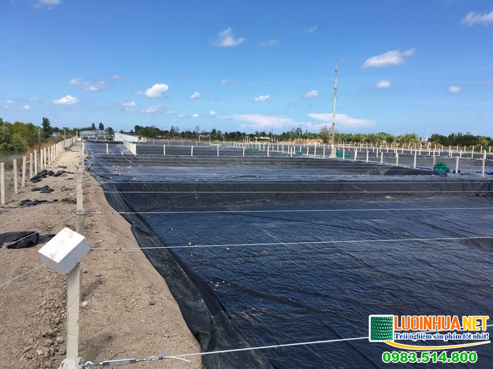 Vì sao bạt nuôi tôm tại TPHCM lại có nhu cầu cao