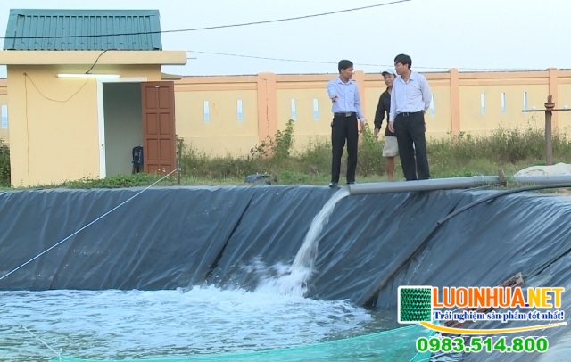 Địa chỉ cung cấp bạt nuôi tôm tại TPHCM