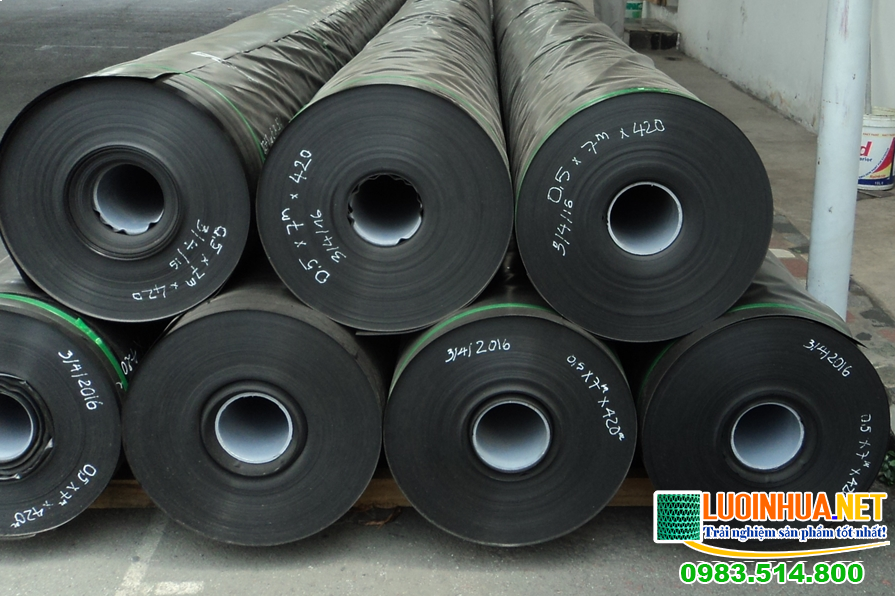 Các ưu điểm của kỹ thuật nuôi tôm ao bạt