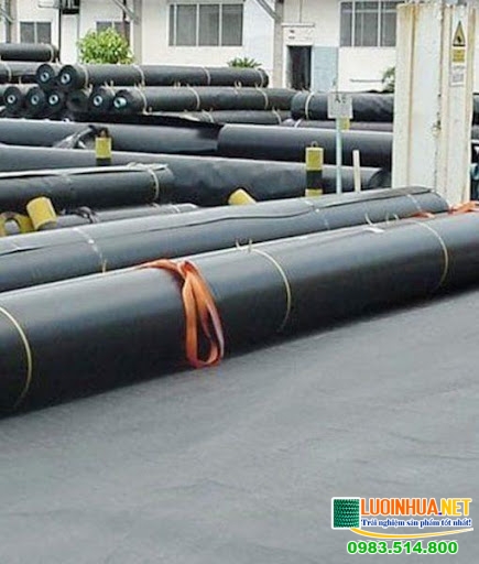 Dùng bạt nuôi tôm giúp tăng hiệu quả nuôi trồng