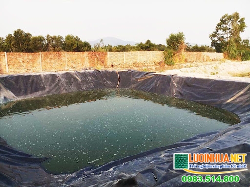 Vì sao nên sử dụng bạt chống thấm hồ cá? 