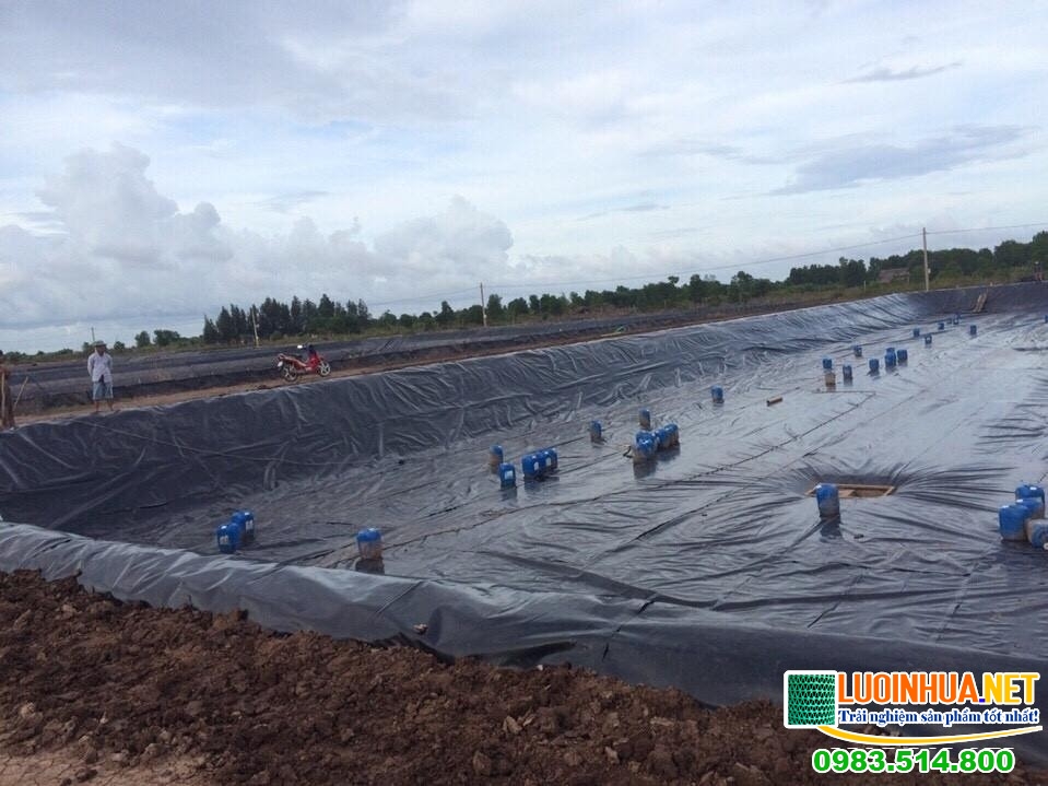 Bạt chống thấm nhập khẩu.
