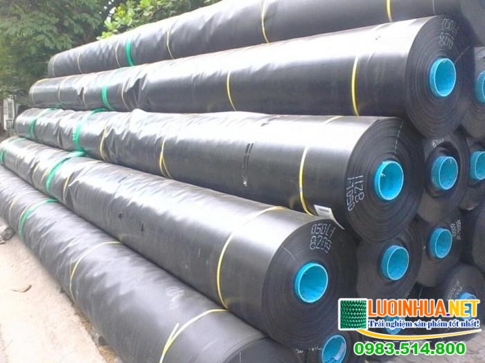 Vì sao nên sử dụng bạt chống thấm?