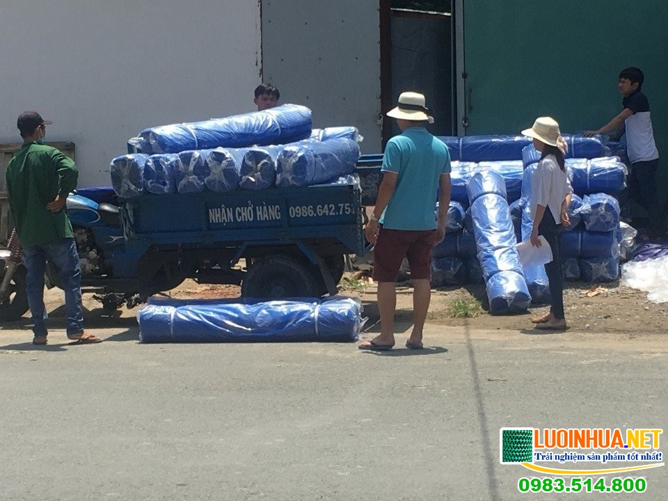 Mua bạt chống thấm ở đâu đảm bảo chất lượng?