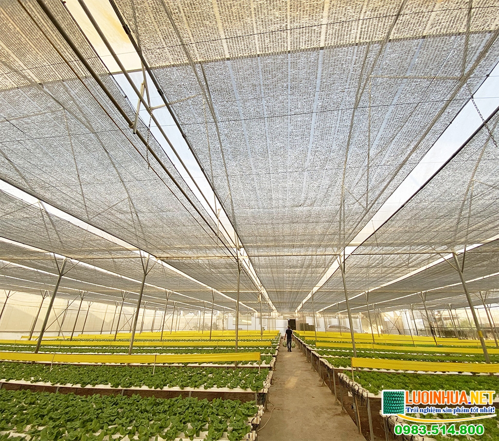 Lưới che nắng trồng rau