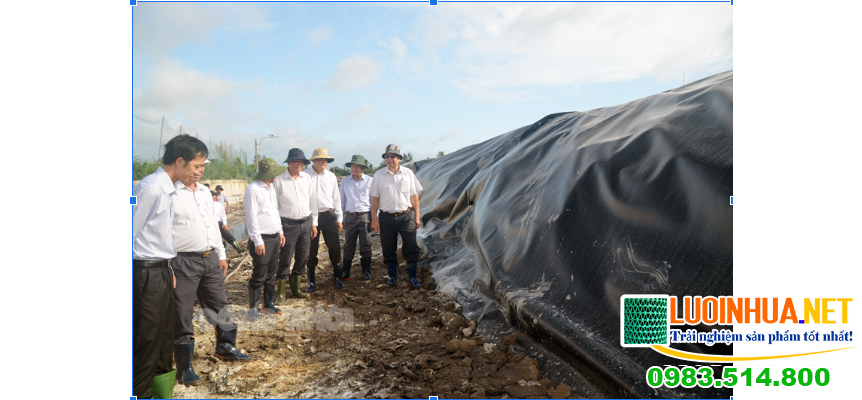 Ưu điểm của bạt chống thấm