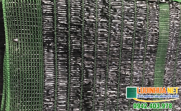 Ánh nắng gây ảnh hưởng lớn tới sinh hoạt
