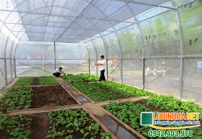 Tại sao nên sử dụng lưới chống côn trùng