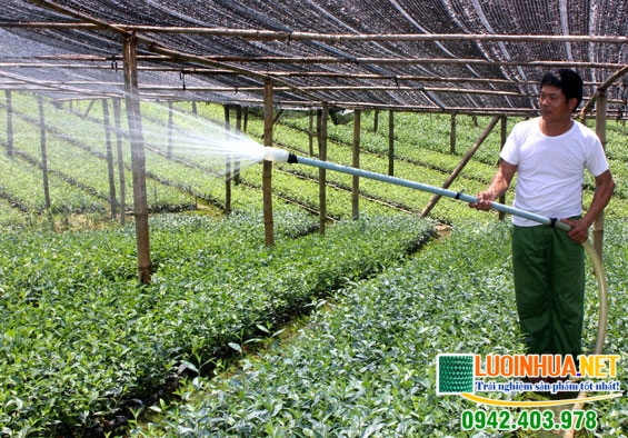 Loại lưới che nắng nào phù hợp nhất với cây trồng