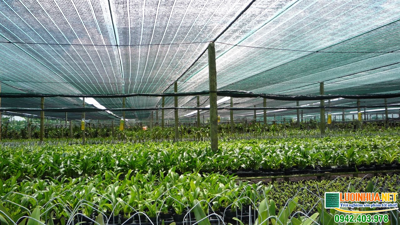 Địa chỉ mua lưới chống nắng vườn ươm uy tín