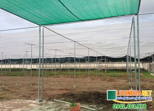 Lưới lan giá rẻ