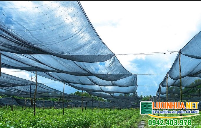 Lưới che nắng dùng trong trường hợp nào