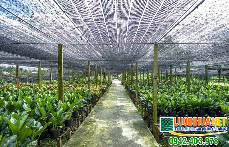 Nơi bán lưới che nắng TPHCM chất lượng giá rẻ